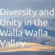 Diversity & Unity in the WW Valley