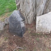 Several of the grave markers leaning against a tree. Photo courtesy of Joe Drazan