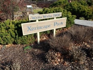 Xeriscape Park on the corner of Isaacs Avenue and North Rose Street.